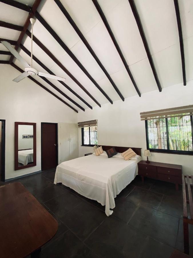Cottage Garden Bungalows 莫拉图瓦 外观 照片