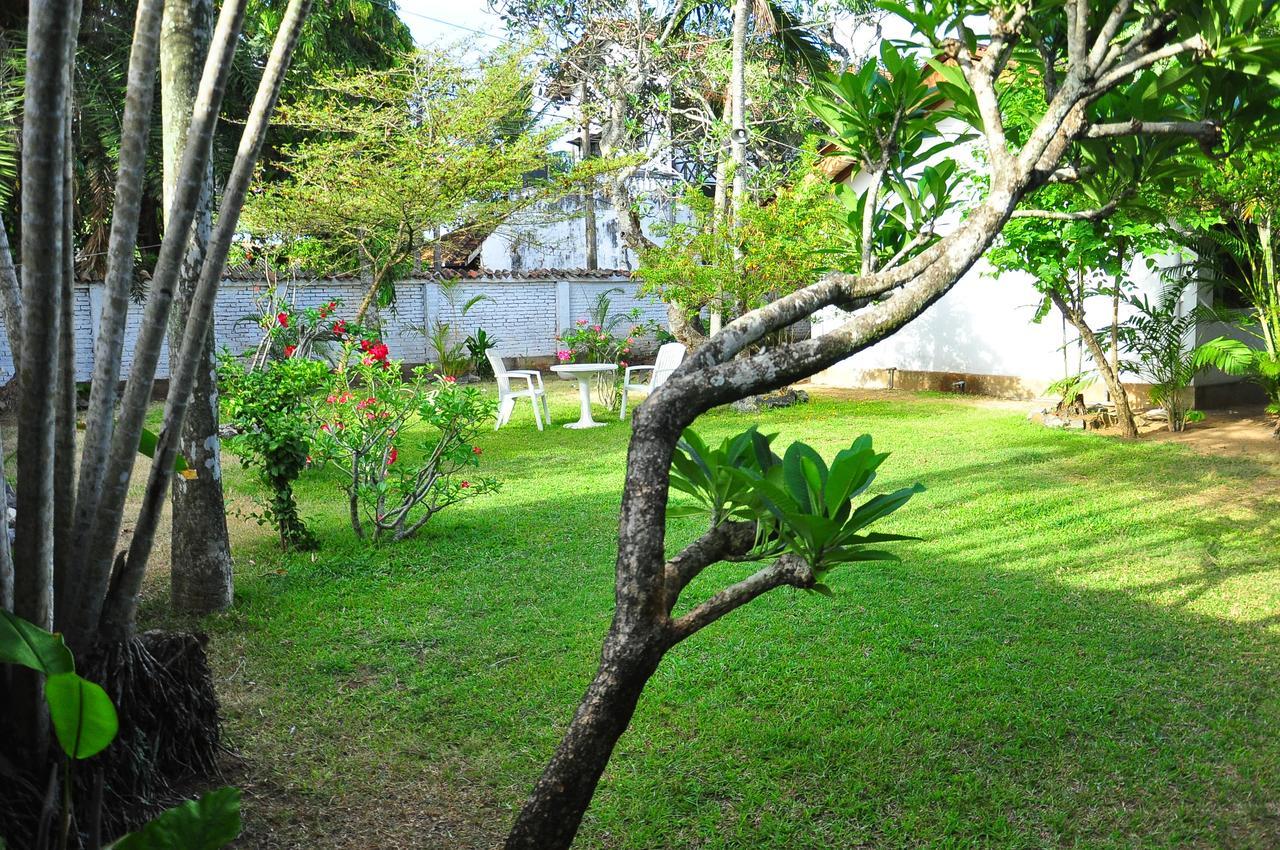 Cottage Garden Bungalows 莫拉图瓦 外观 照片