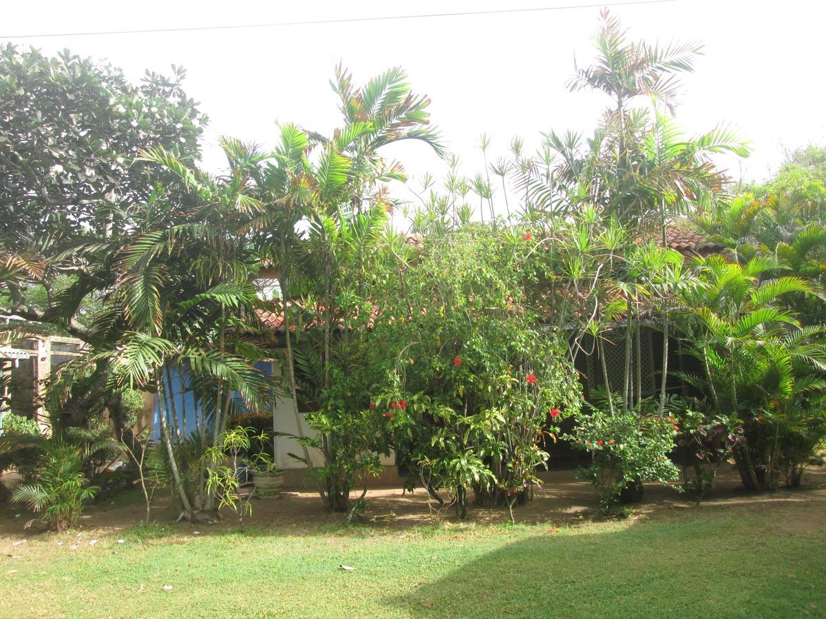 Cottage Garden Bungalows 莫拉图瓦 外观 照片